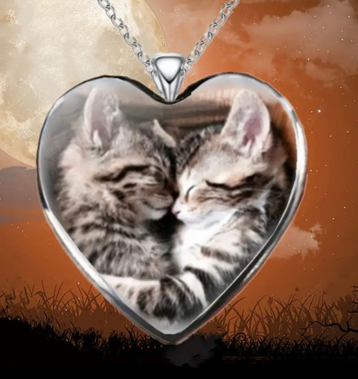 COLLAR GATITOS