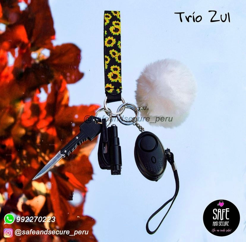 TRÍO ZUL